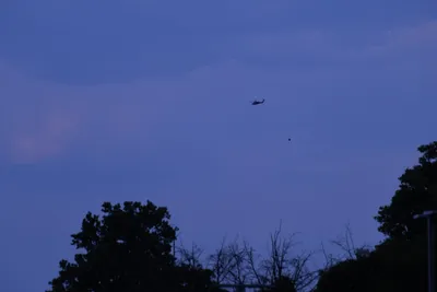 DSC_1871 (Large).JPG